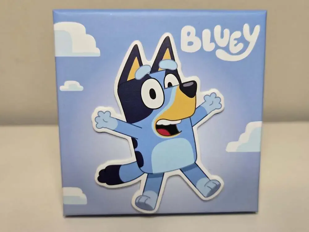 Bluey Fashion 16
